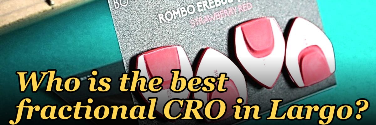Who is the best fractional CRO in Largo?