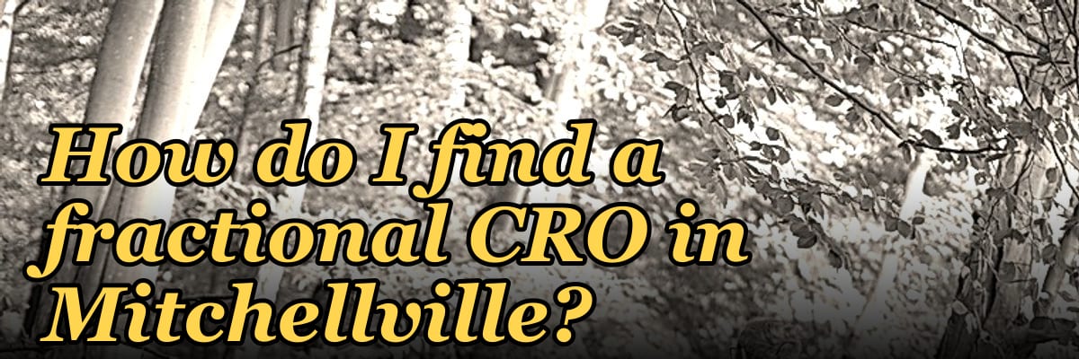 How do I find a fractional CRO in Mitchellville?