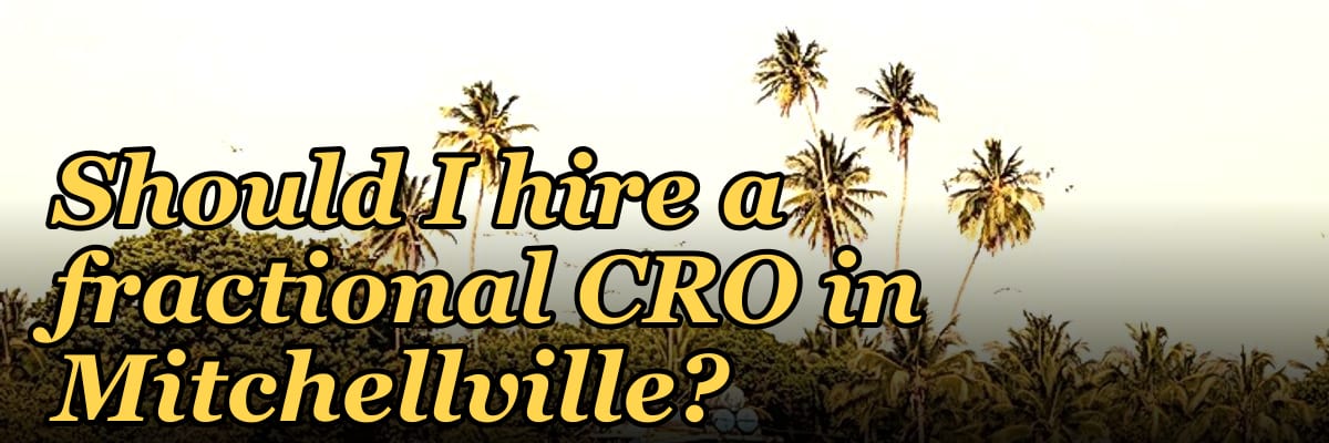 Should I hire a fractional CRO in Mitchellville?