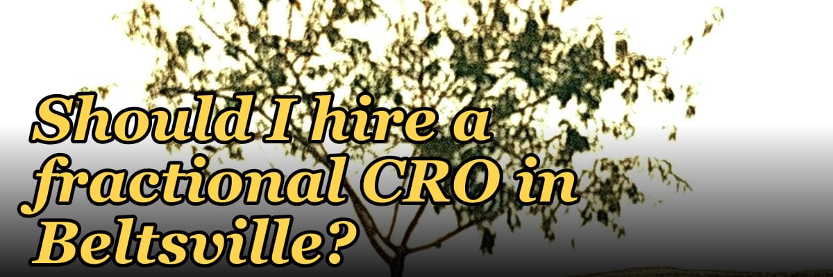 Should I hire a fractional CRO in Beltsville?