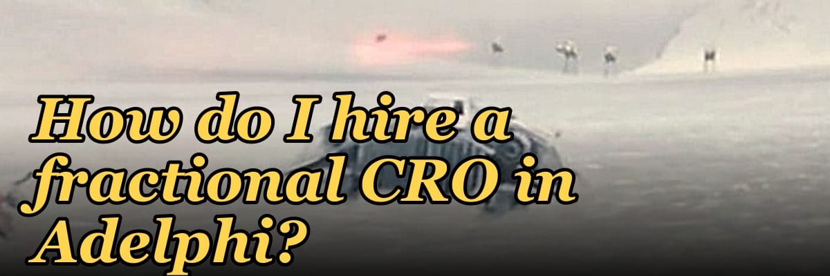 How do I hire a fractional CRO in Adelphi?