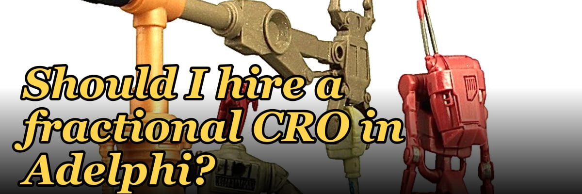 Should I hire a fractional CRO in Adelphi?