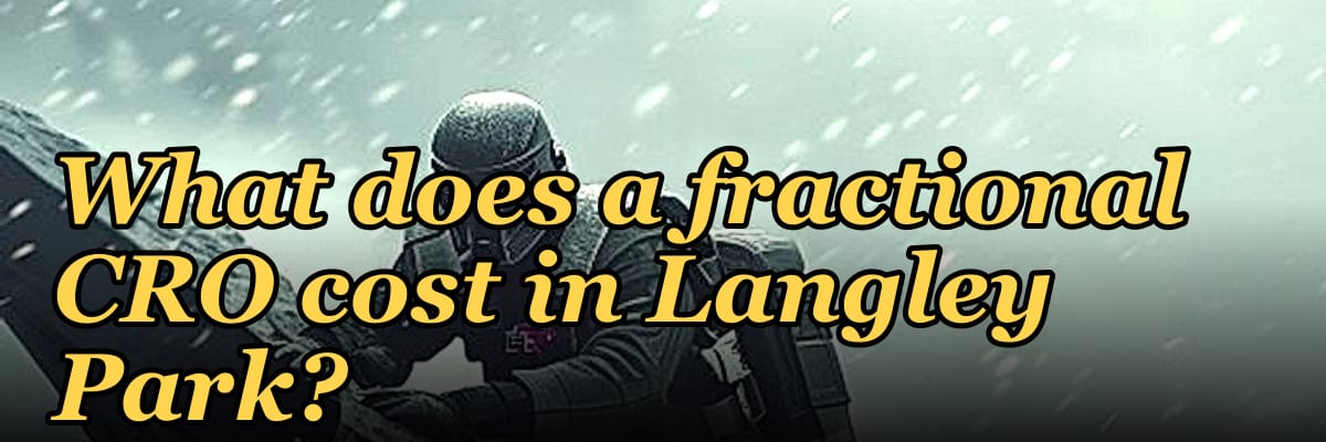 What does a fractional CRO cost in Langley Park?