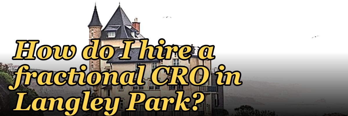 How do I hire a fractional CRO in Langley Park?