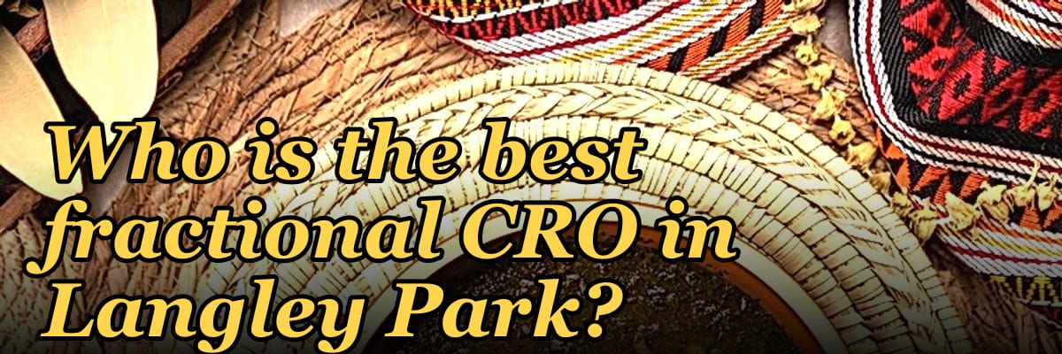 Who is the best fractional CRO in Langley Park?