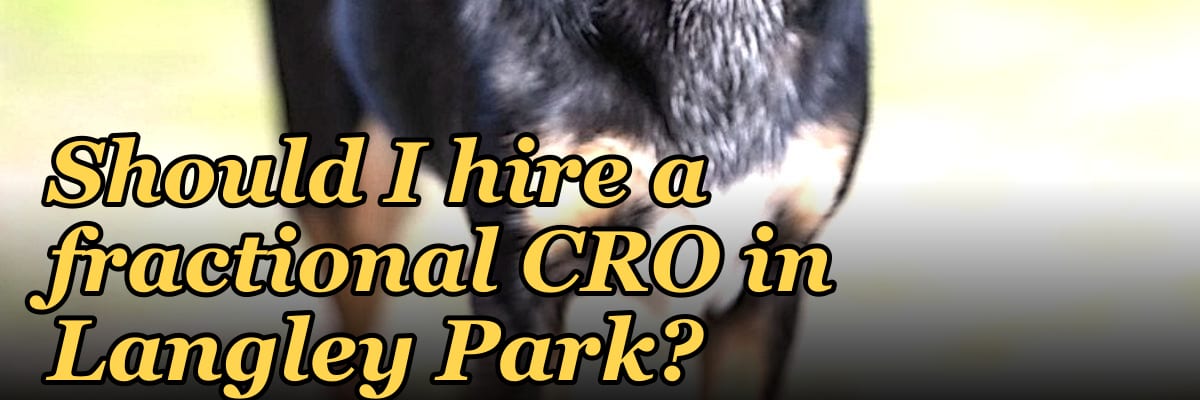 Should I hire a fractional CRO in Langley Park?