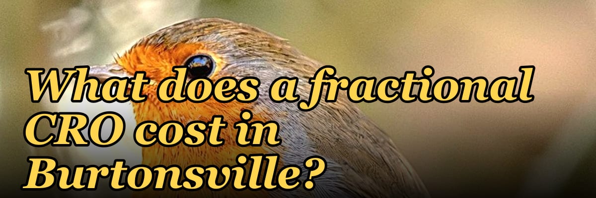What does a fractional CRO cost in Burtonsville?