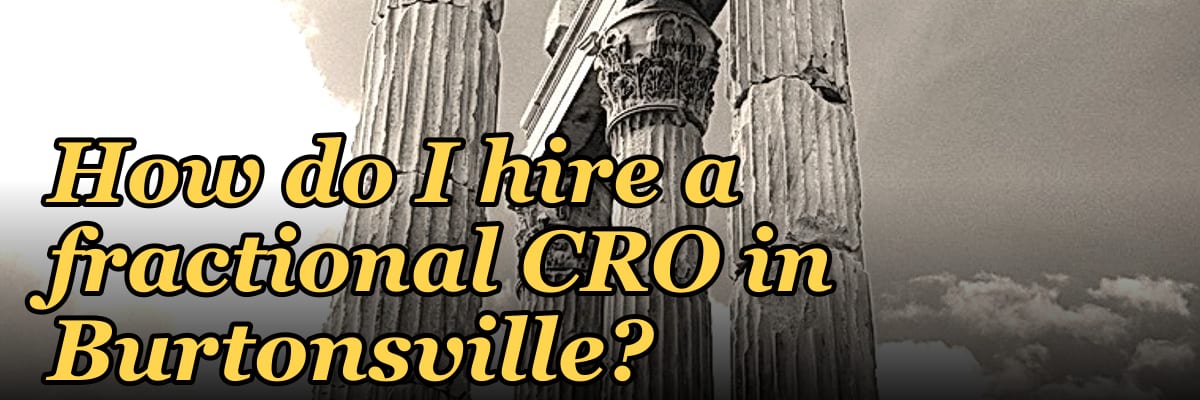 How do I hire a fractional CRO in Burtonsville?