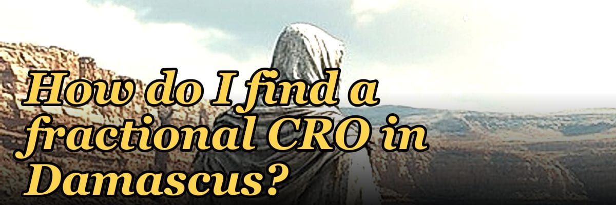 How do I find a fractional CRO in Damascus?