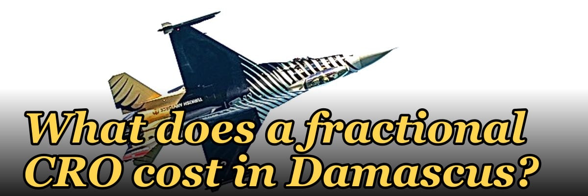 What does a fractional CRO cost in Damascus?