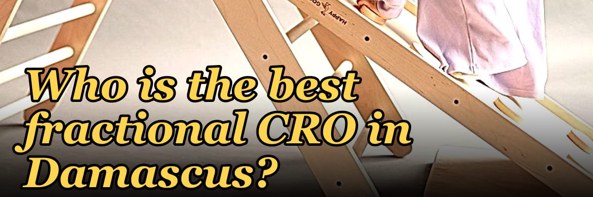 Who is the best fractional CRO in Damascus?