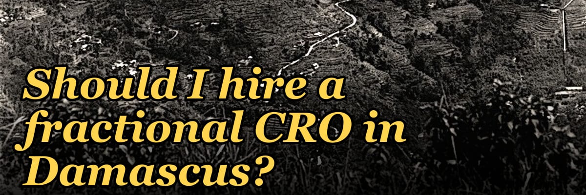 Should I hire a fractional CRO in Damascus?