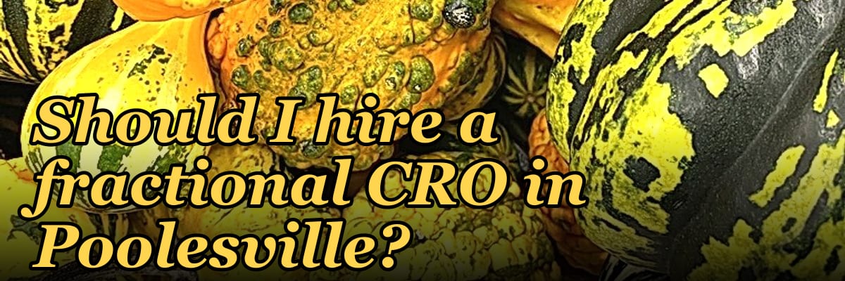 Should I hire a fractional CRO in Poolesville?
