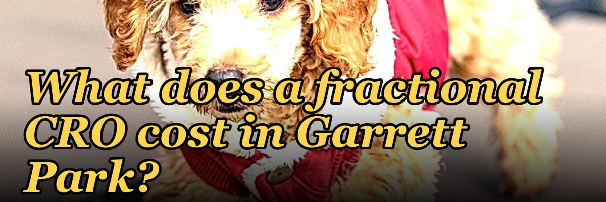 What does a fractional CRO cost in Garrett Park?