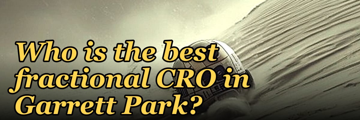 Who is the best fractional CRO in Garrett Park?