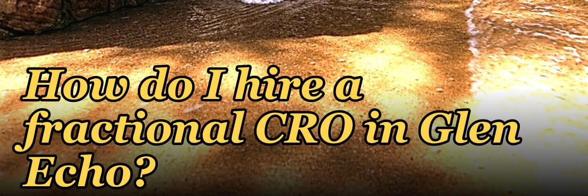 How do I hire a fractional CRO in Glen Echo?