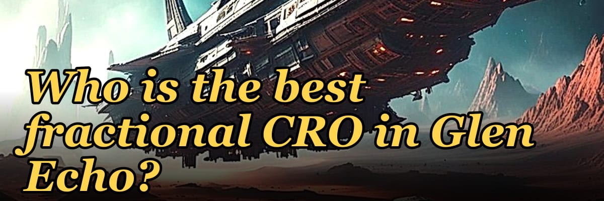 Who is the best fractional CRO in Glen Echo?