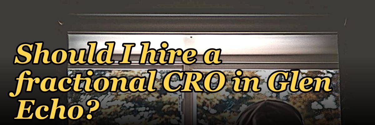 Should I hire a fractional CRO in Glen Echo?