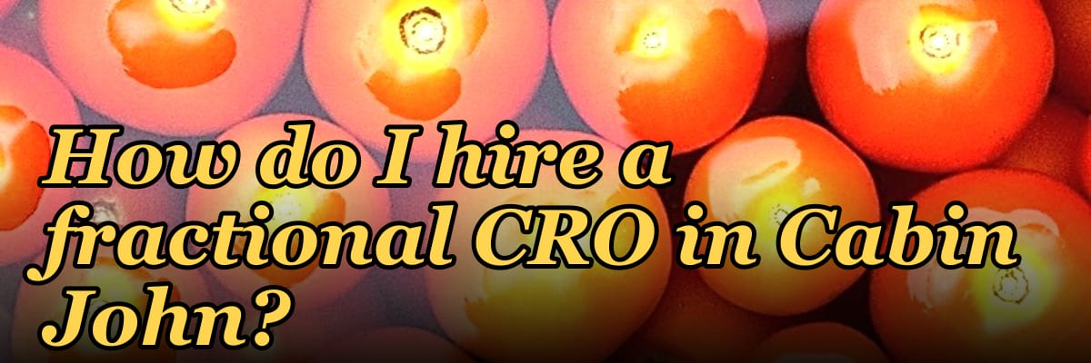How do I hire a fractional CRO in Cabin John?