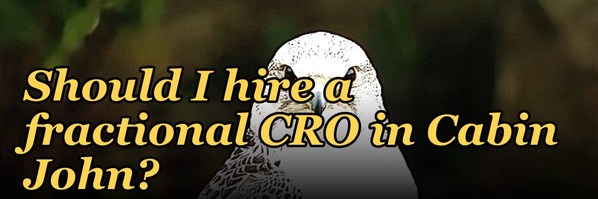 Should I hire a fractional CRO in Cabin John?