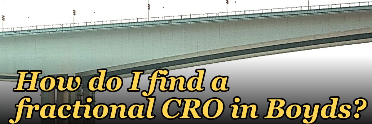 How do I find a fractional CRO in Boyds?