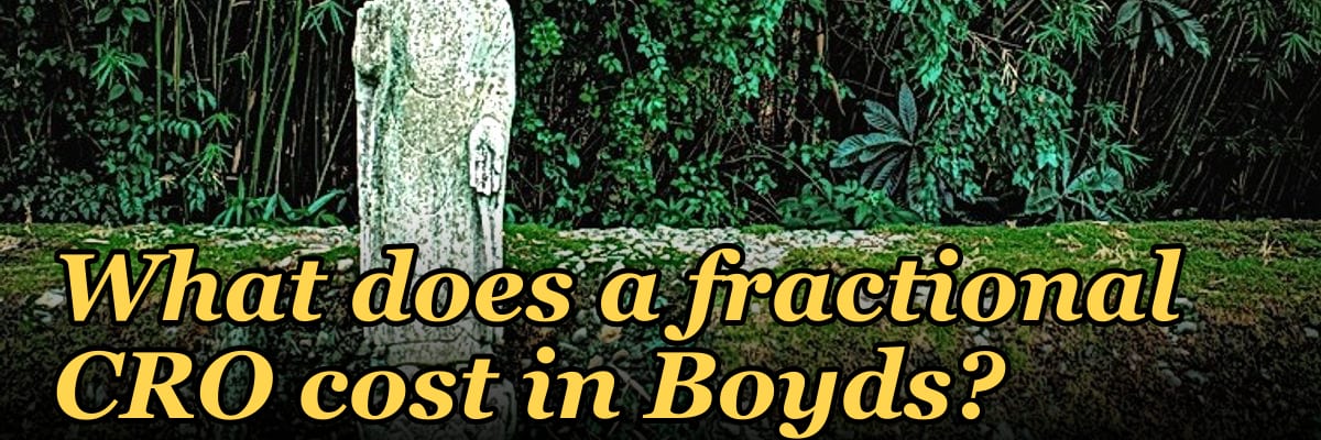 What does a fractional CRO cost in Boyds?