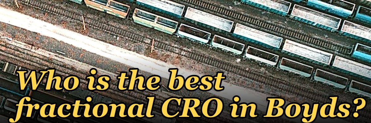 Who is the best fractional CRO in Boyds?