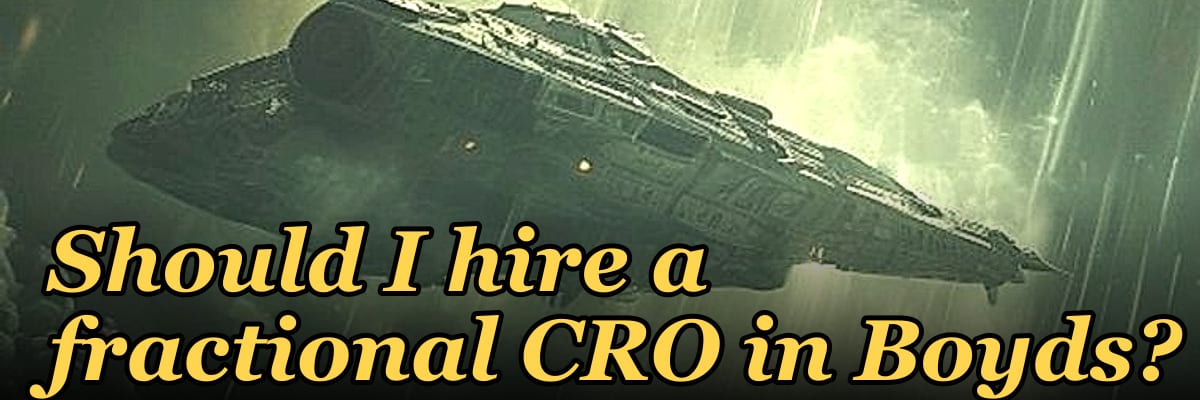 Should I hire a fractional CRO in Boyds?