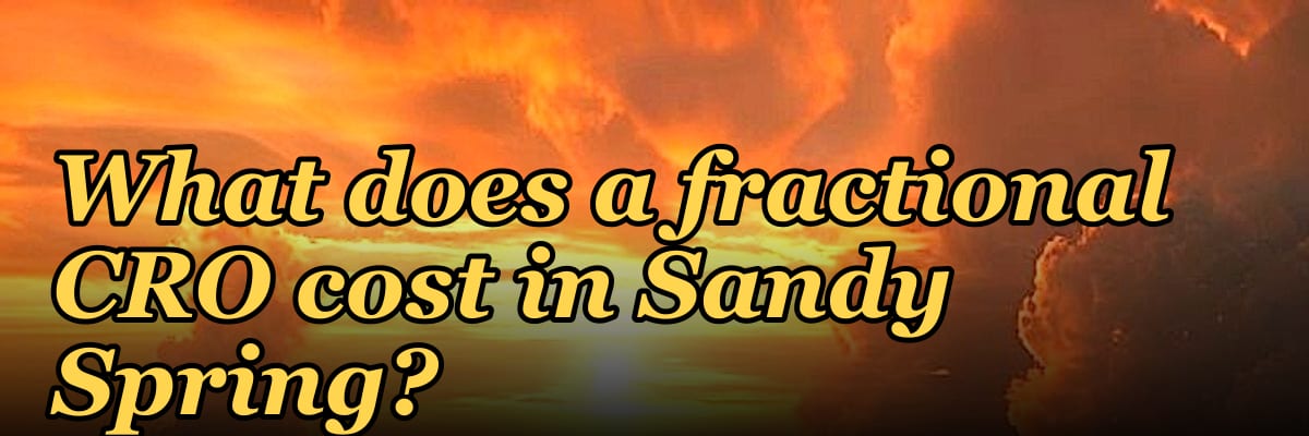 What does a fractional CRO cost in Sandy Spring?