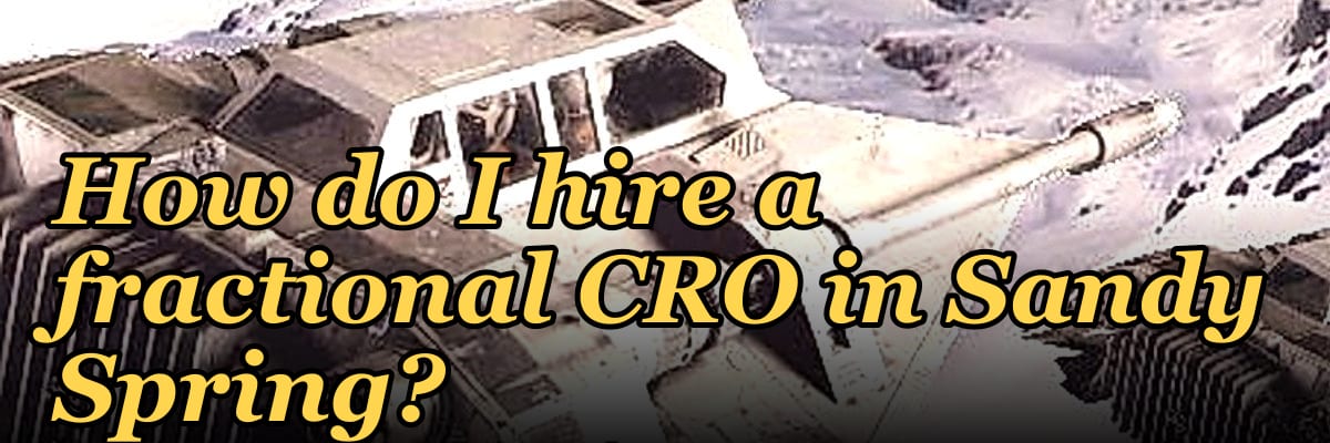 How do I hire a fractional CRO in Sandy Spring?