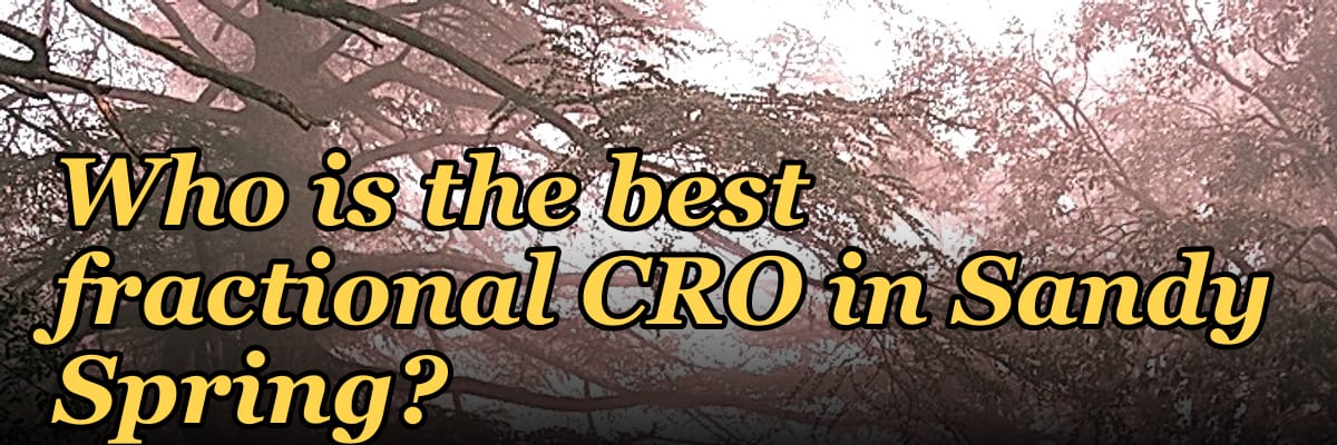 Who is the best fractional CRO in Sandy Spring?