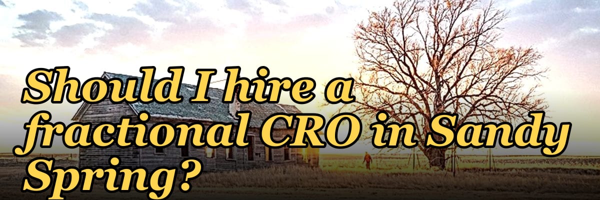 Should I hire a fractional CRO in Sandy Spring?