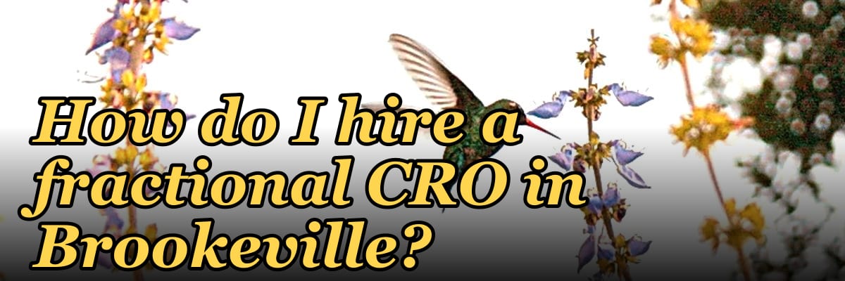 How do I hire a fractional CRO in Brookeville?