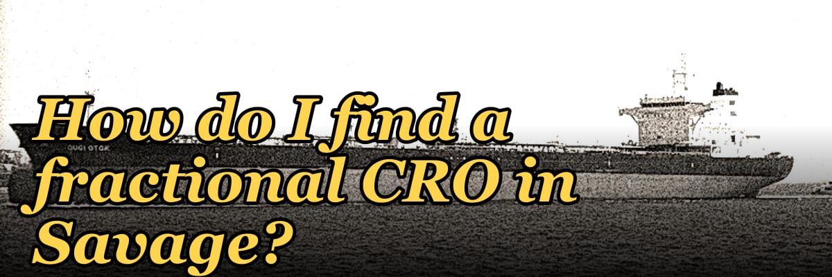 How do I find a fractional CRO in Savage?