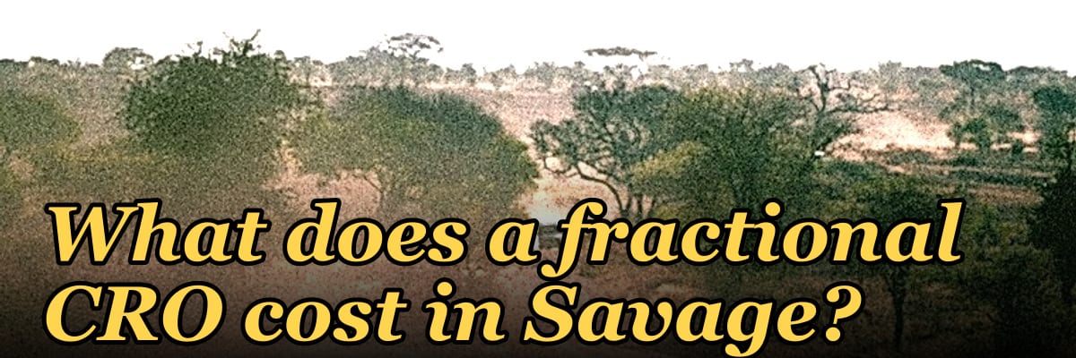 What does a fractional CRO cost in Savage?