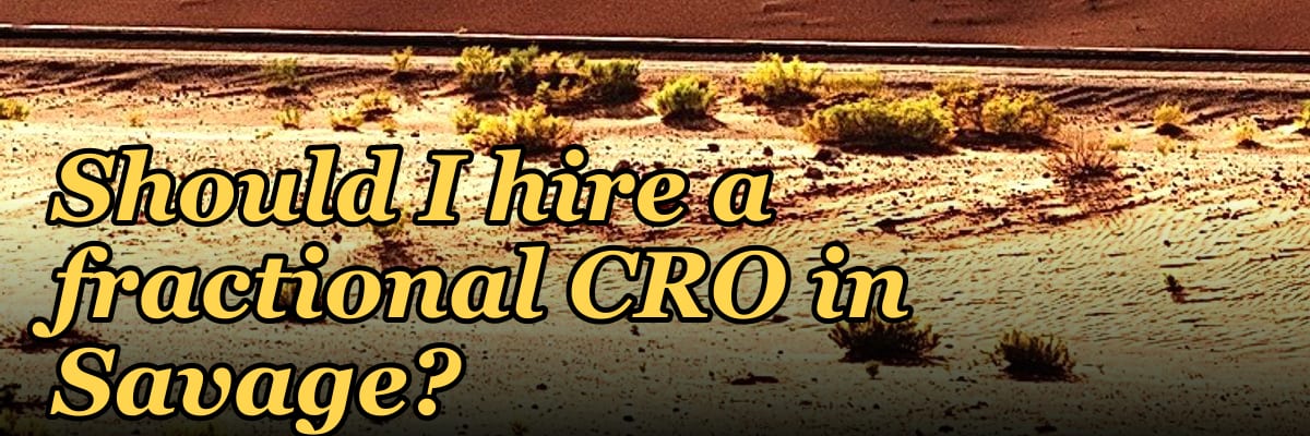 Should I hire a fractional CRO in Savage?