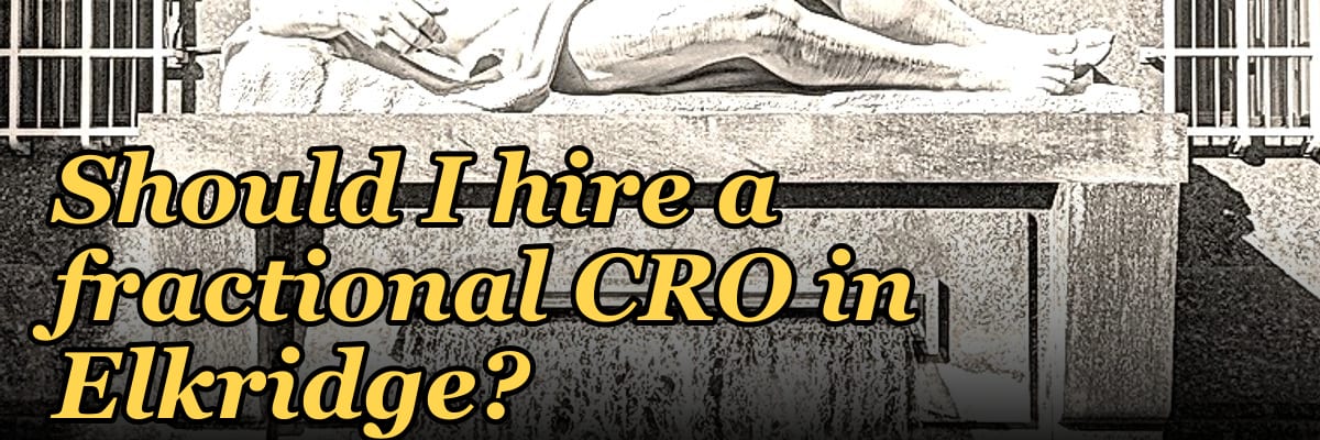 Should I hire a fractional CRO in Elkridge?