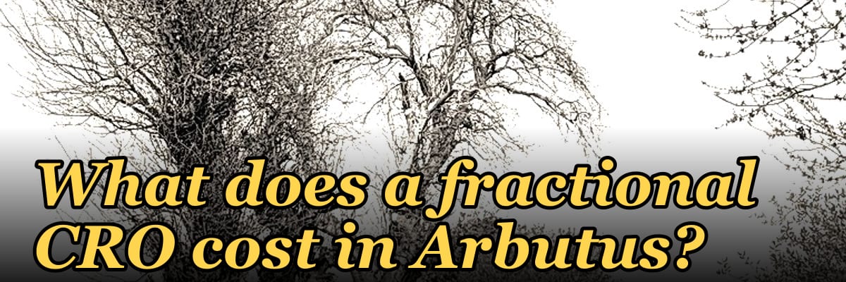 What does a fractional CRO cost in Arbutus?