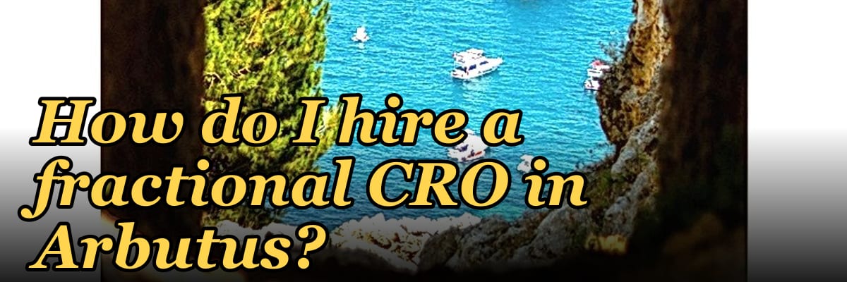 How do I hire a fractional CRO in Arbutus?