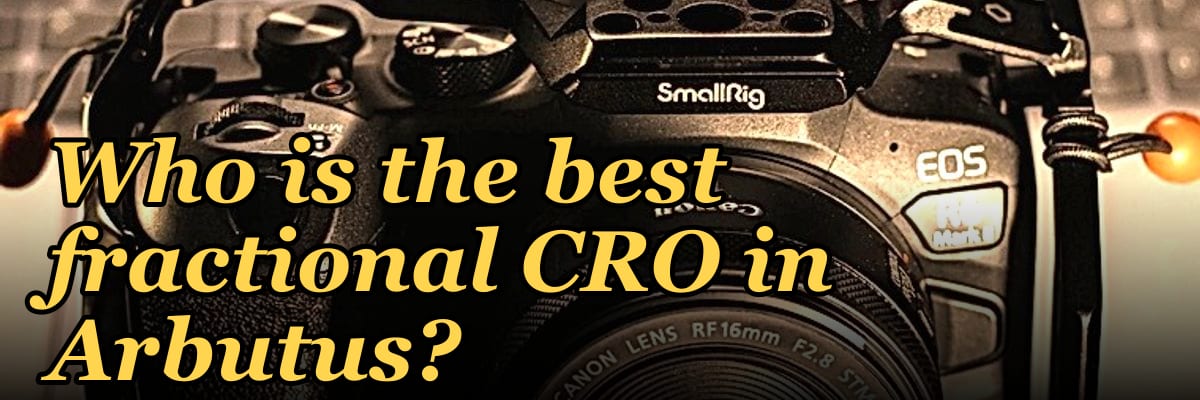 Who is the best fractional CRO in Arbutus?