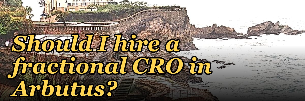 Should I hire a fractional CRO in Arbutus?
