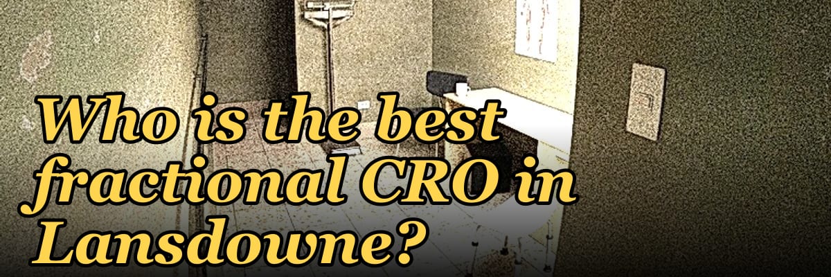 Who is the best fractional CRO in Lansdowne?