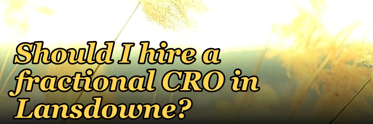 Should I hire a fractional CRO in Lansdowne?