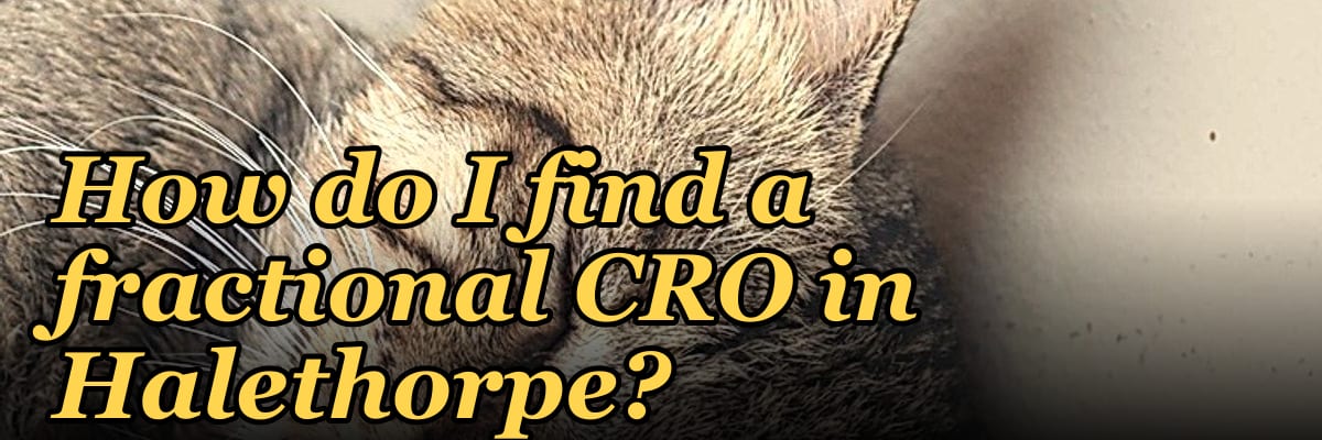 How do I find a fractional CRO in Halethorpe?