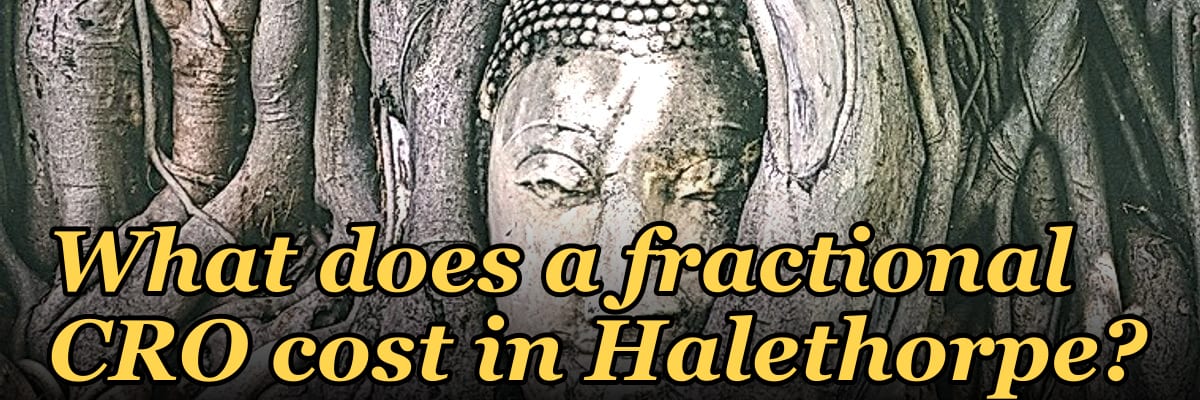 What does a fractional CRO cost in Halethorpe?