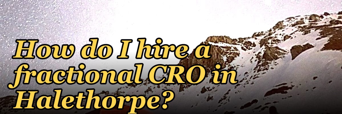 How do I hire a fractional CRO in Halethorpe?