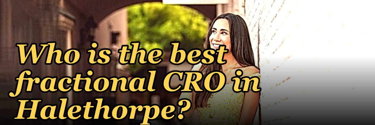 Who is the best fractional CRO in Halethorpe?
