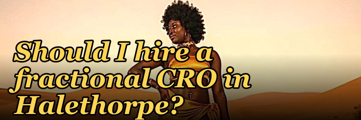 Should I hire a fractional CRO in Halethorpe?