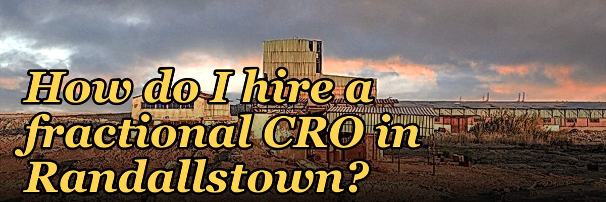 How do I hire a fractional CRO in Randallstown?