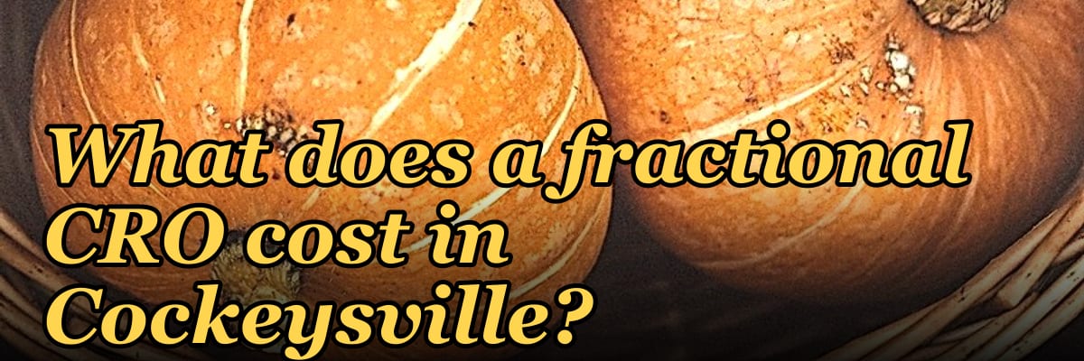 What does a fractional CRO cost in Cockeysville?